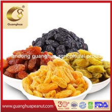 Black/Red/Brown/Green/Yellow/Golden Raisin Chinese New Crop Delicious